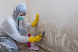 Best Real Estate Mold Inspection  in Atkinson, IL